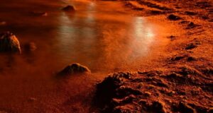 Физик разработал методы terraformирования Марса для освоения людьми